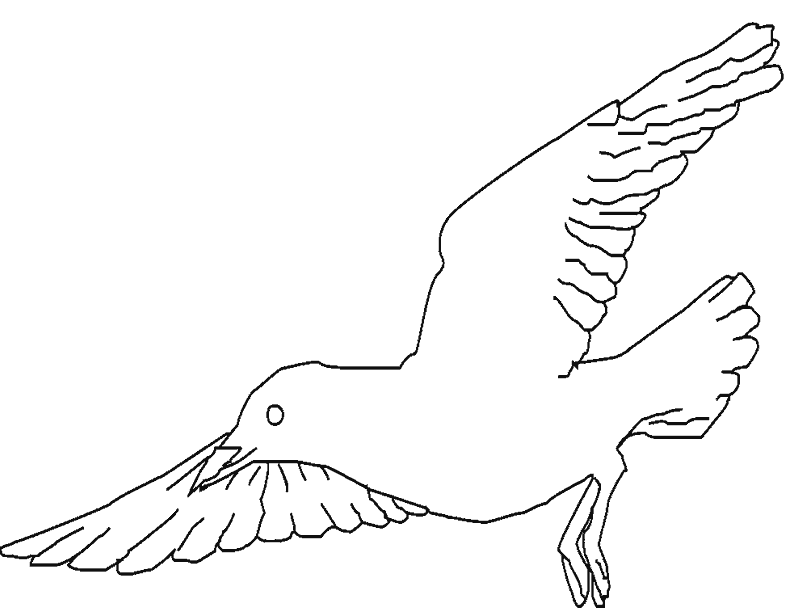 gaviota-01.gif