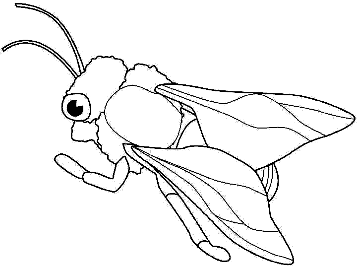 insecto-11.gif