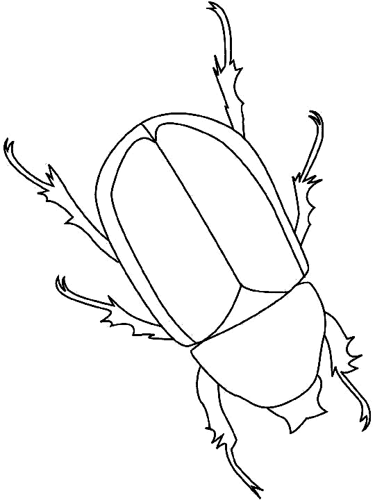 insecto-18.gif