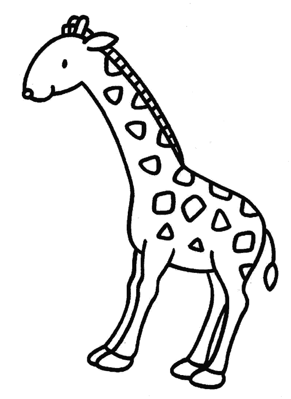jirafa-04.gif