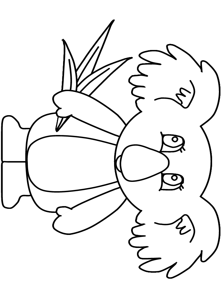 koala-04.gif