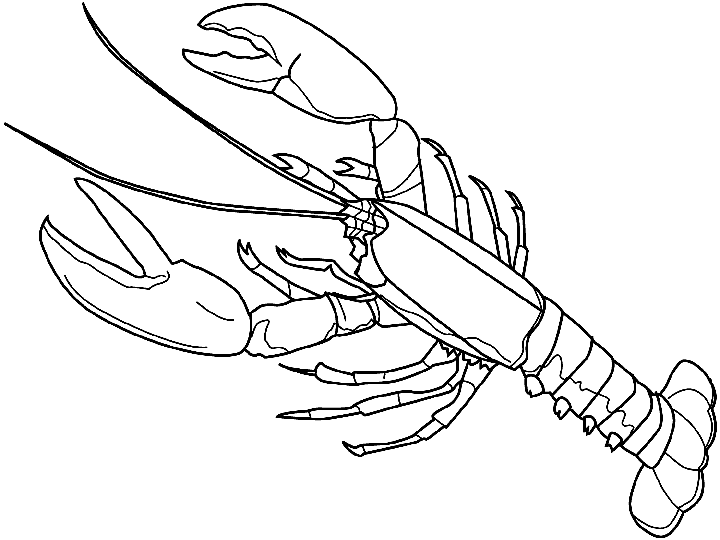 langosta-01.gif