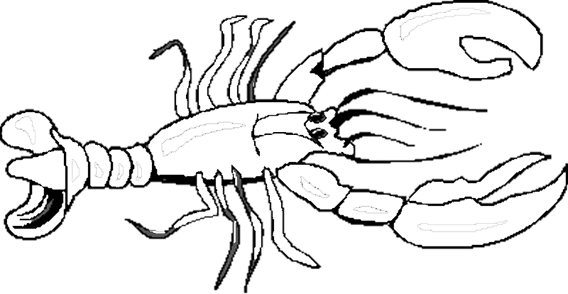langosta-03.gif
