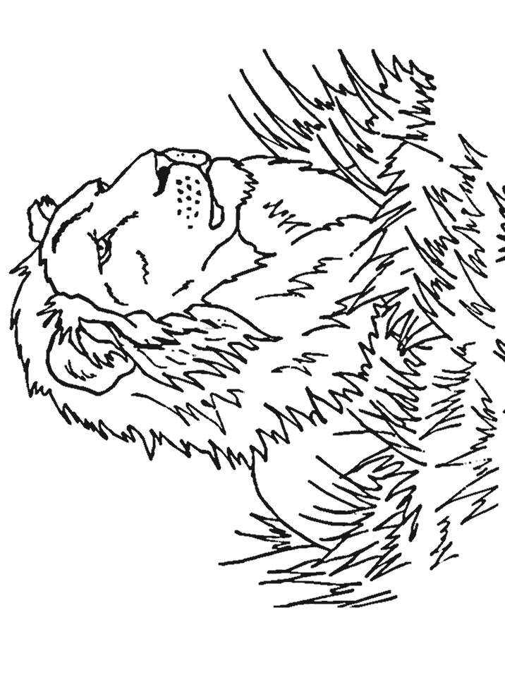 leon-06.gif