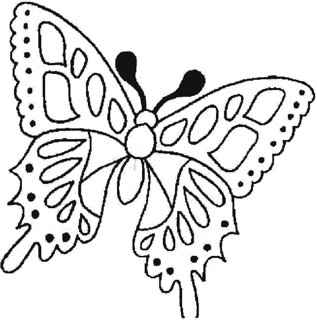 mariposa-03.gif