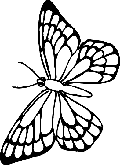 mariposa-12.gif