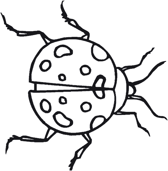 mariquita-04.gif