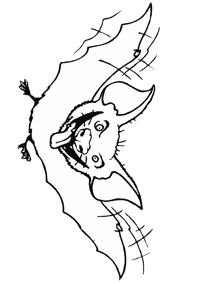 Murcielago-07.gif
