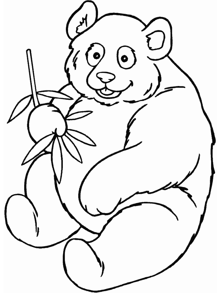 Oso-Panda-05.gif