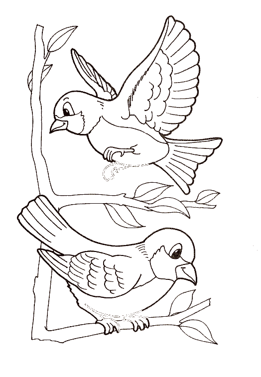 pajaro-03.gif