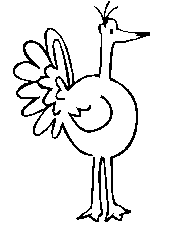 pavo-03.gif