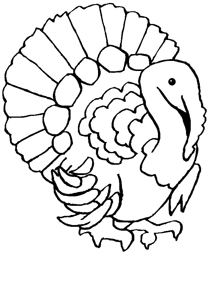 pavo-05.gif