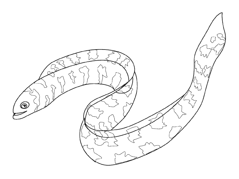 pez-05.gif