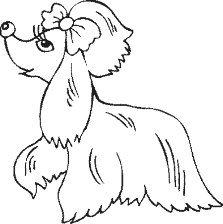 perro-18.gif