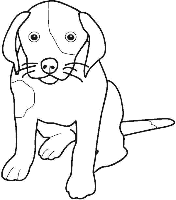 perro-19.gif