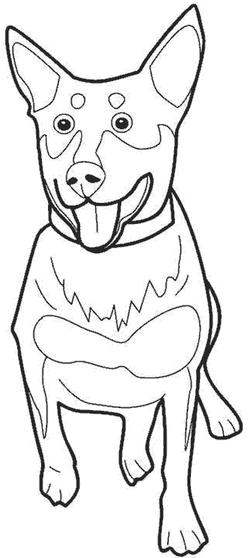 perro-20.gif
