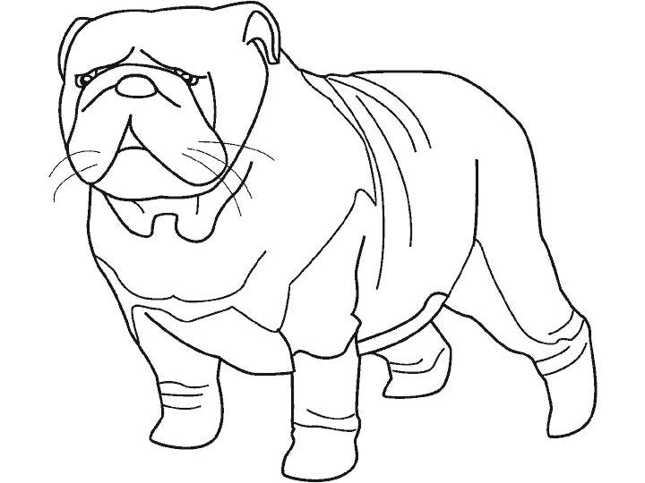 perro-22.gif