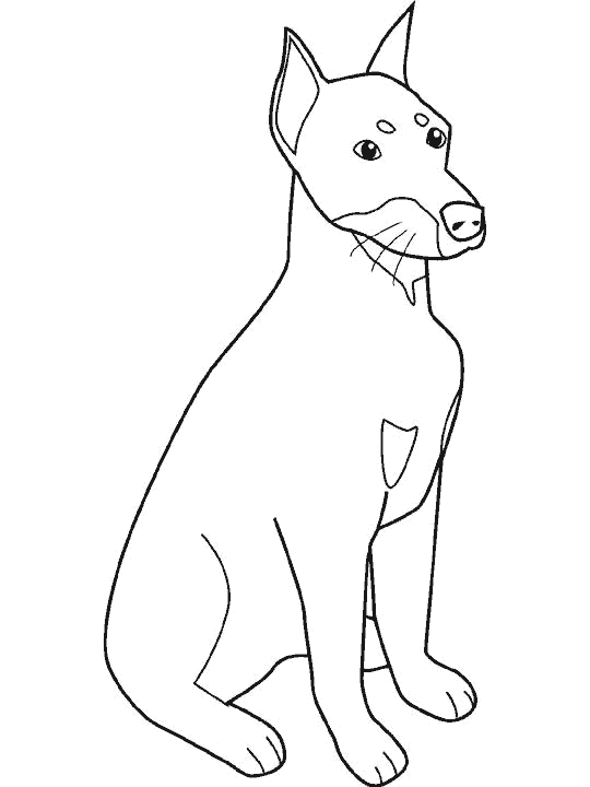 perro-23.gif