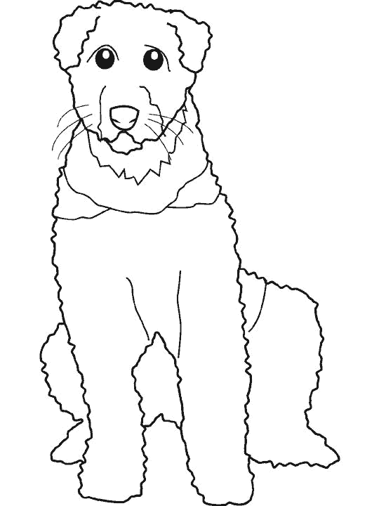 perro-28.gif