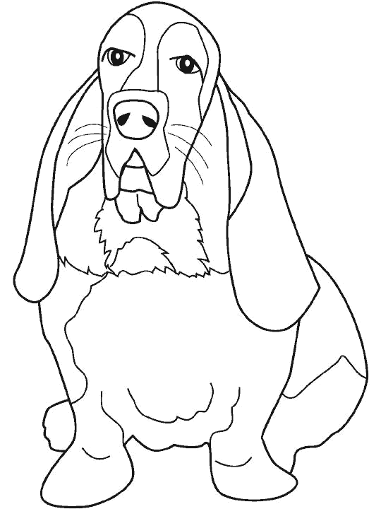 perro-30.gif