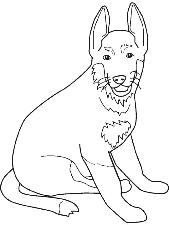 perro-31.gif