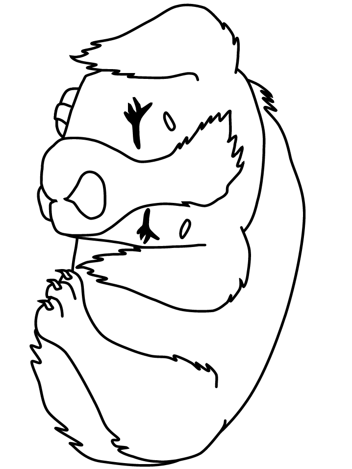 perro-32.gif