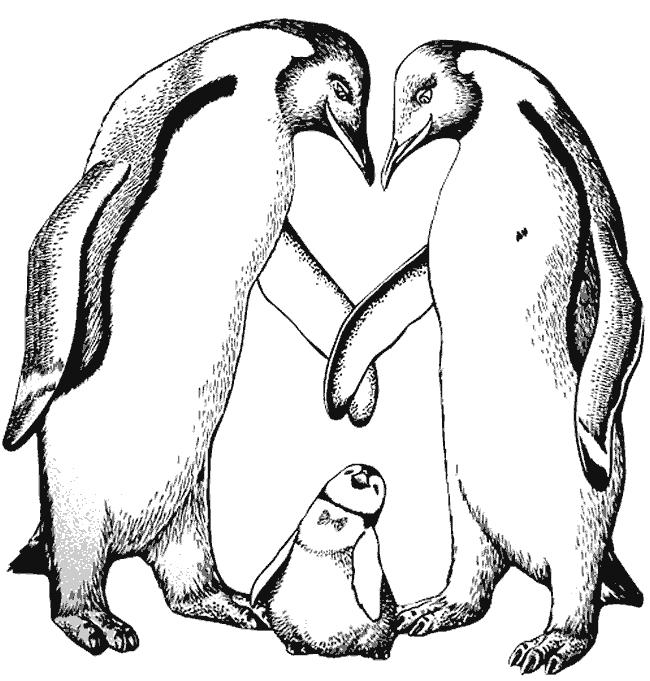 Pinguino-01.gif