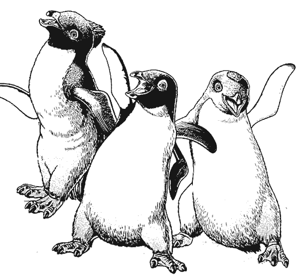 Pinguino-05.gif