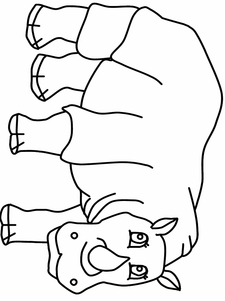 rinoceronte-12.gif