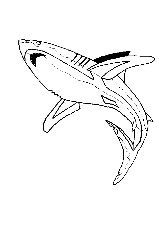 tiburon-03.gif