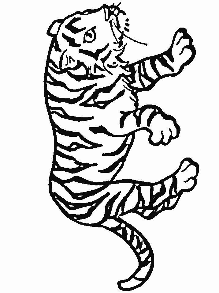 Tigre-04.gif