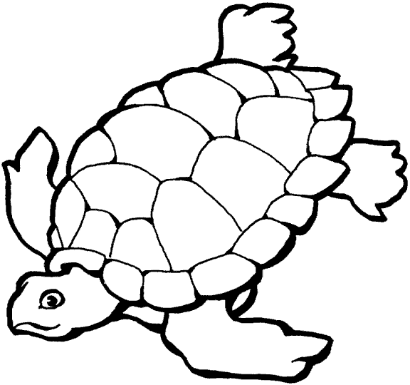 Dibujos de tortugas para imprimir y colorear