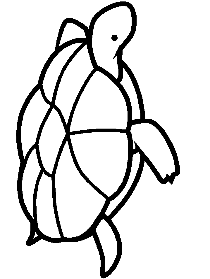 tortuga-09.gif