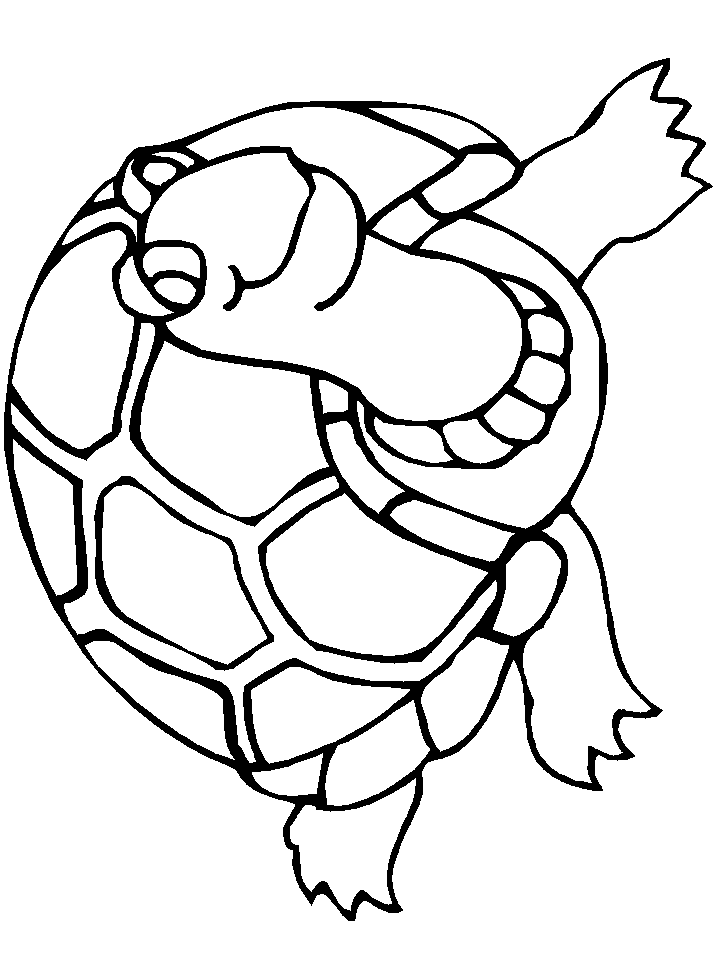 tortuga-10.gif