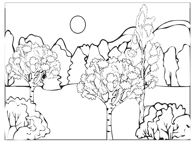 arbol-14.jpg