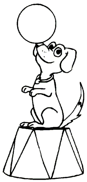 Shows-animales-05.gif