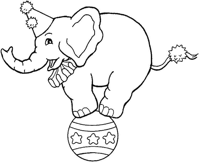 Shows-animales-08.gif