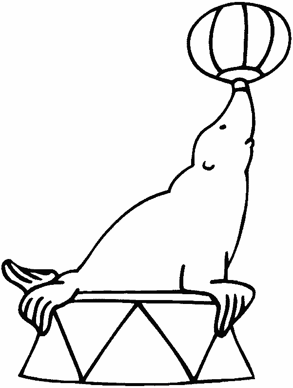 Shows-animales-09.gif