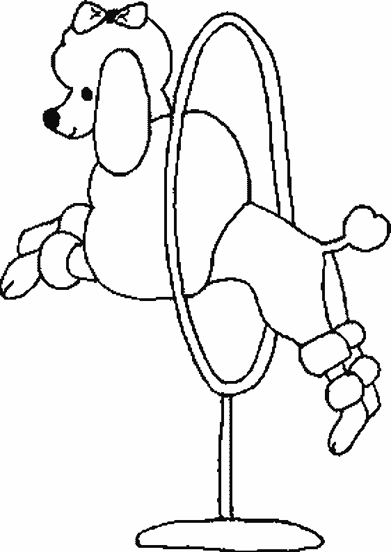 Shows-animales-10.gif