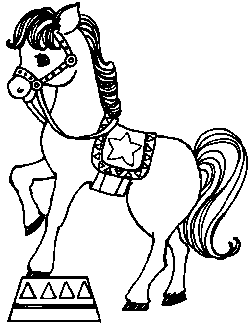 Shows-animales-11.gif