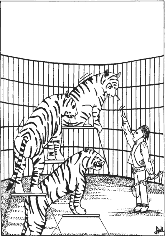 Shows-animales-12.gif