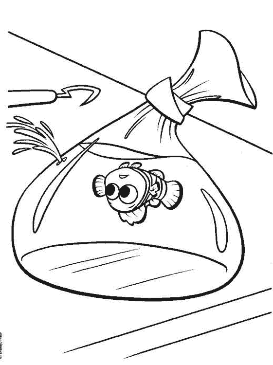 Nemo-05.gif