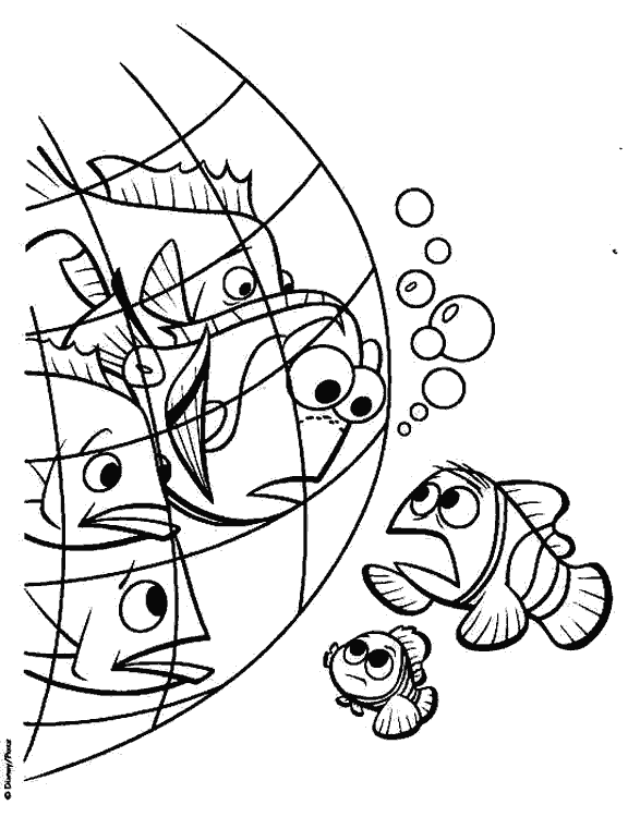 Nemo-08.gif