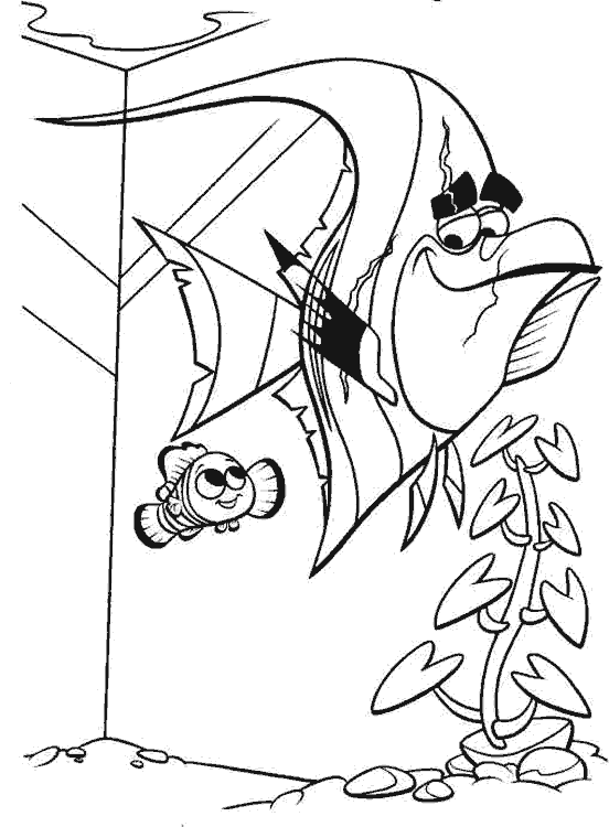 Nemo-13.gif