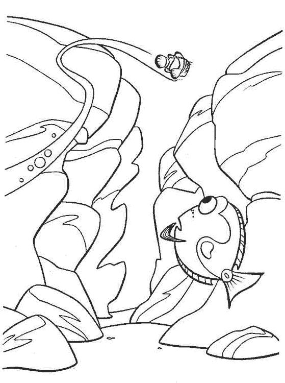 Nemo-17.gif