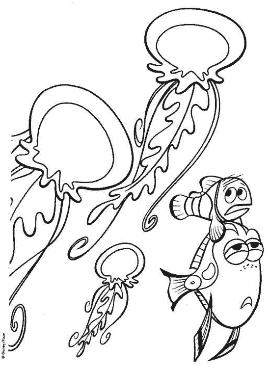 Nemo-19.gif