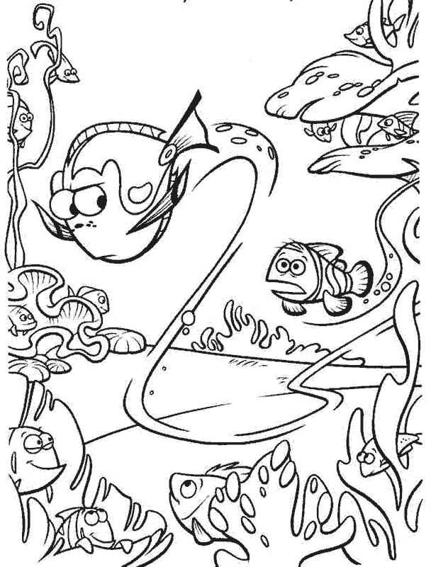 Nemo-25.gif