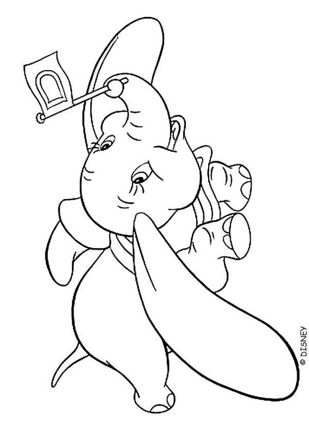 Dumbo-12.jpg