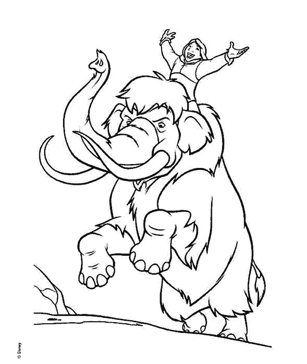 Hermano-Oso-02.gif