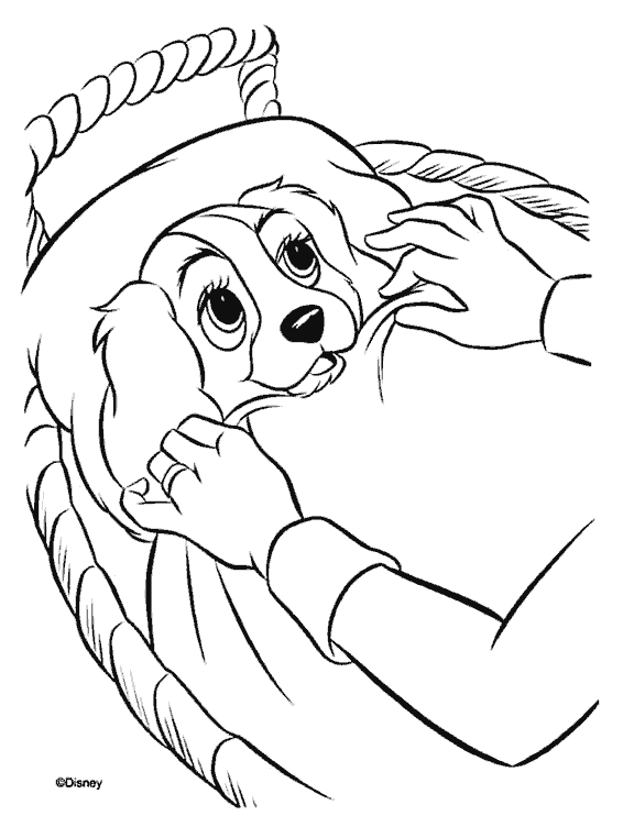 La-Dama-Vagabundo-06.gif